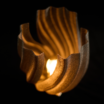 Lys de Lumière – Noctis
